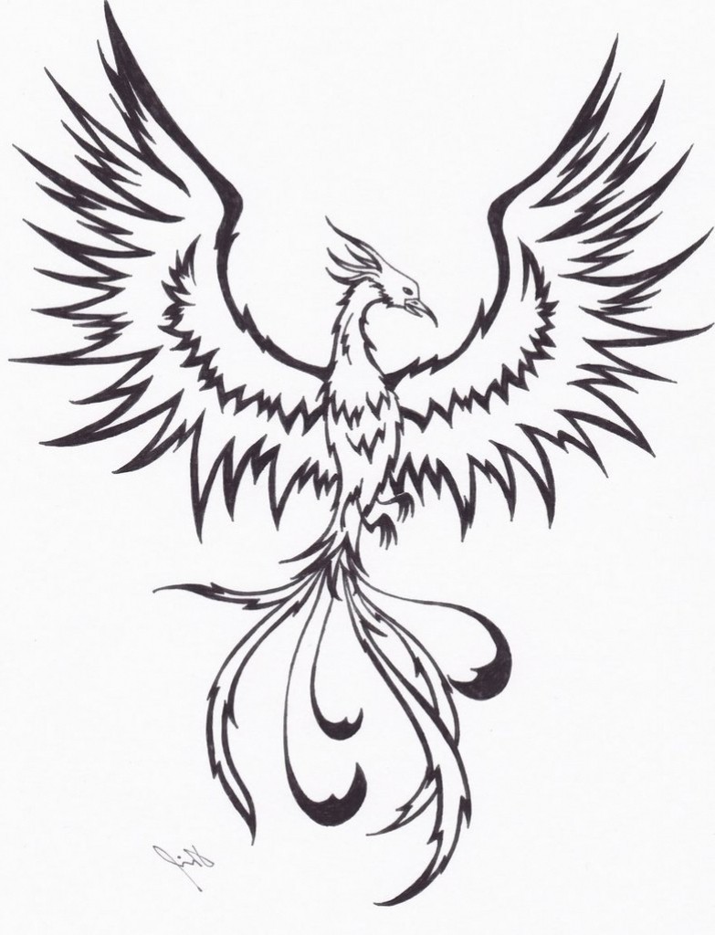 783x1024 Simple Phoenix Drawing Bird Line - Simple Bird Line Drawing