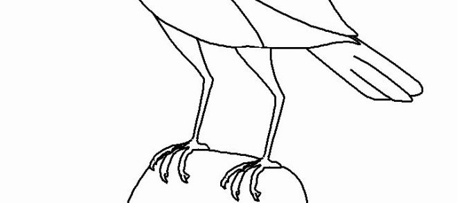 660x293 bird drawing simple and awesome bird line drawing - Simple Bird Line Drawing