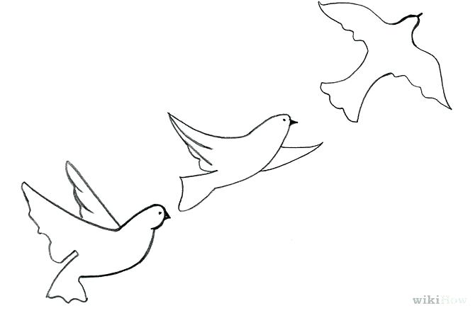 670x442 Bird Drawing Simple Marvellous How To Draw A Step - Simple Bird Line Drawing