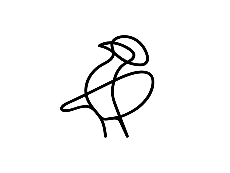 800x600 Bird Line Exploration - Simple Bird Line Drawing