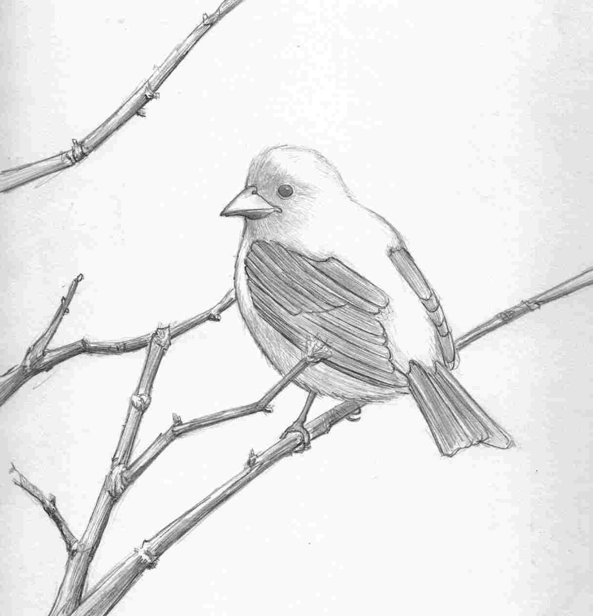 1216x1264 Simple Black And White Drawings Of Love - Simple Black And White Drawing Ideas