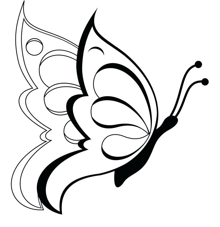736x760 Black And White Flower Best Simple Butterfly Drawing Ideas Easy - Simple Black And White Drawing Ideas