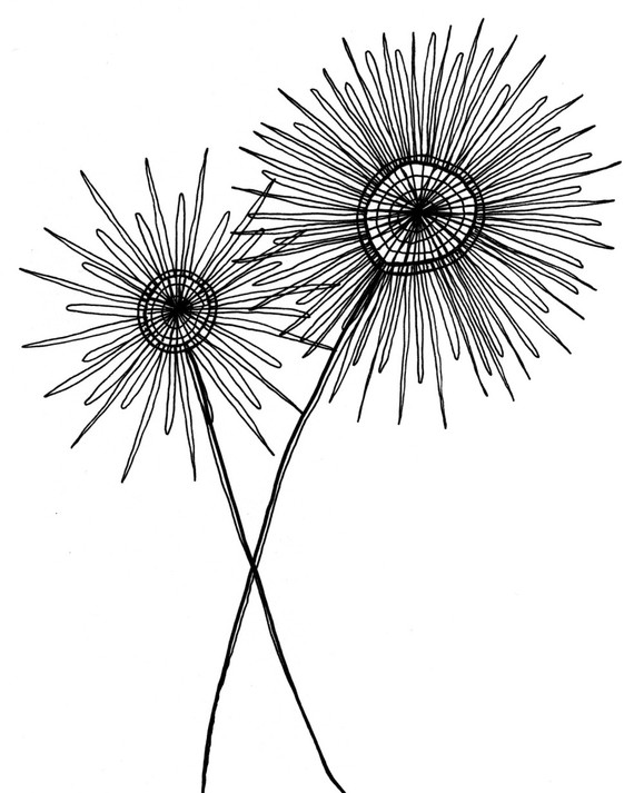 570x713 Drawings Of Flowers In Black And White Gallery Images - Simple Black And White Drawings