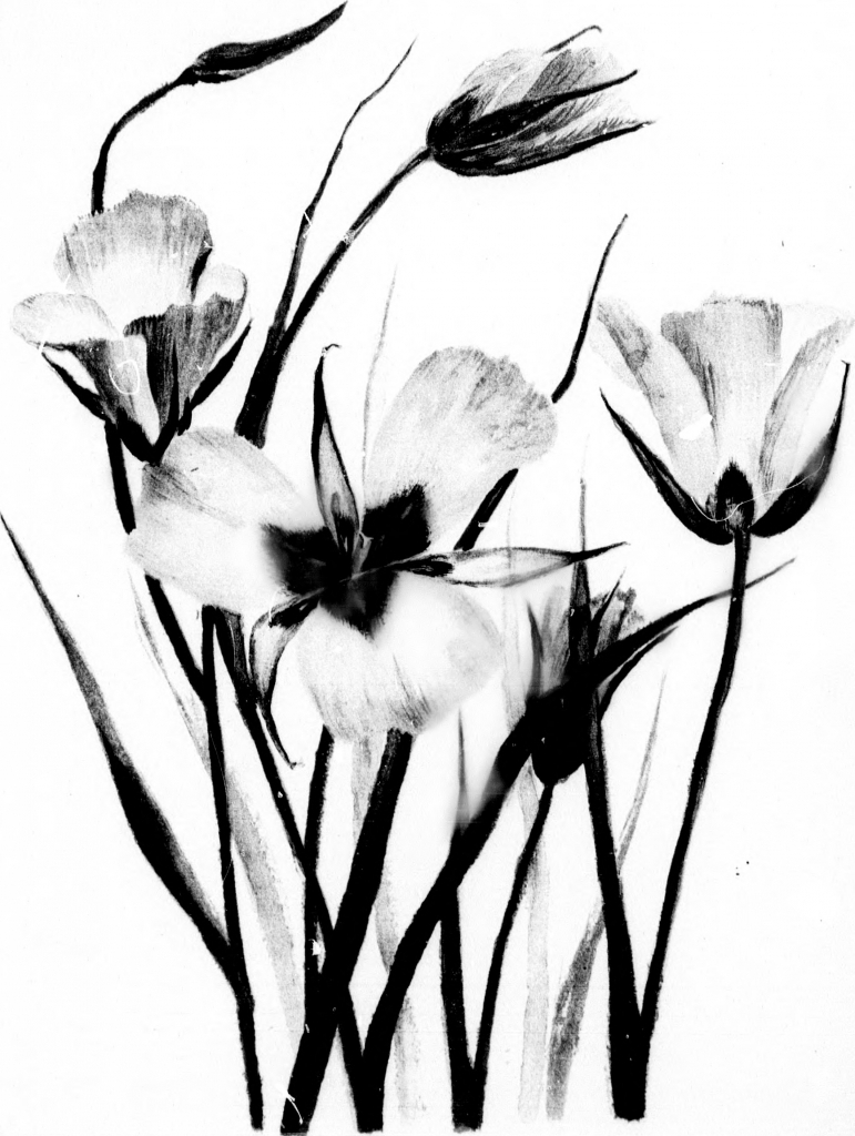 771x1024 Simple Nature Sketches Black And White Sketches Of Nature Nature - Simple Black And White Drawings