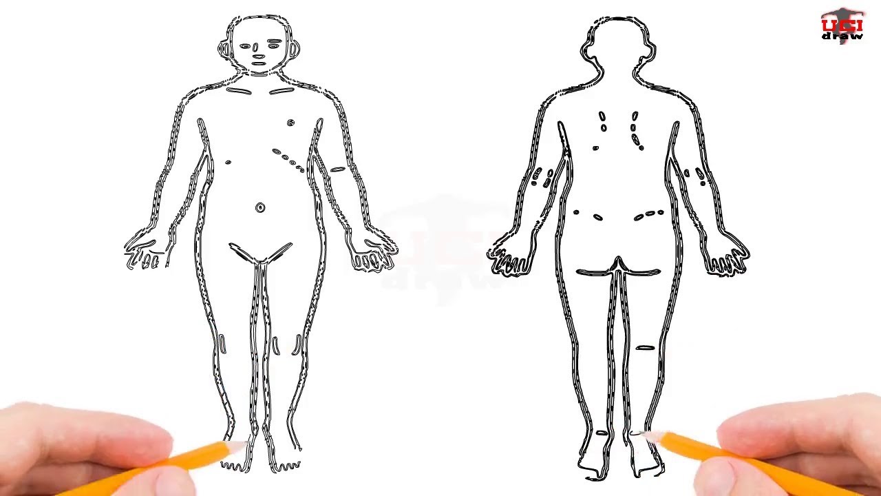 1280x720 How To Draw A Human Body Step - Simple Body Drawing