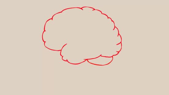 Simple Brain Drawing