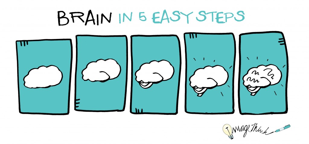 1024x477 how to draw a brain in easy steps imagethink - Simple Brain Drawing