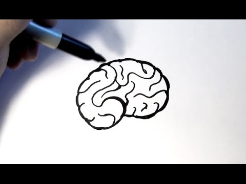 480x360 how to draw a brain - Simple Brain Drawing