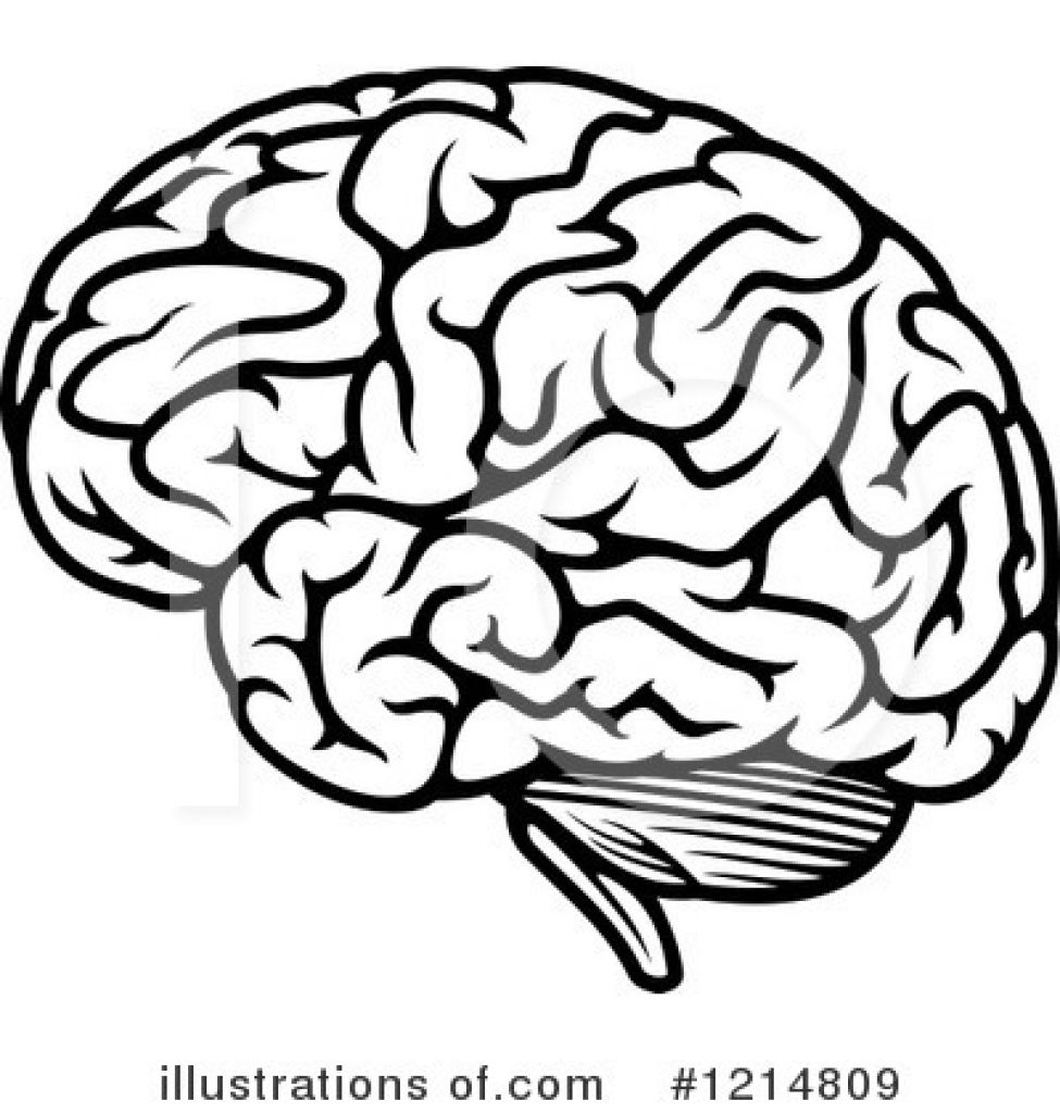 975x1024 simple brain clipart - Simple Brain Drawing