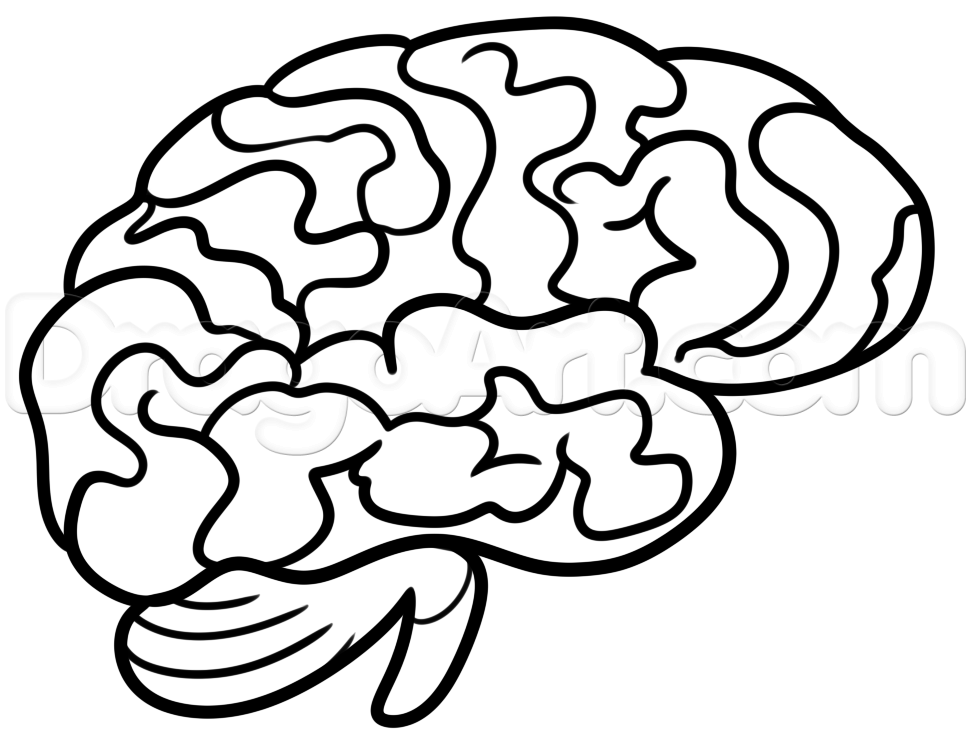 971x746 drawing a brain for kids, step - Simple Brain Drawing