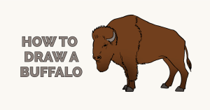 300x157 How To Draw Animals Easy Drawing Guides - Simple Buffalo Drawing