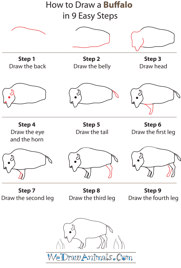 600x885 how to draw a buffalo - Simple Buffalo Drawing