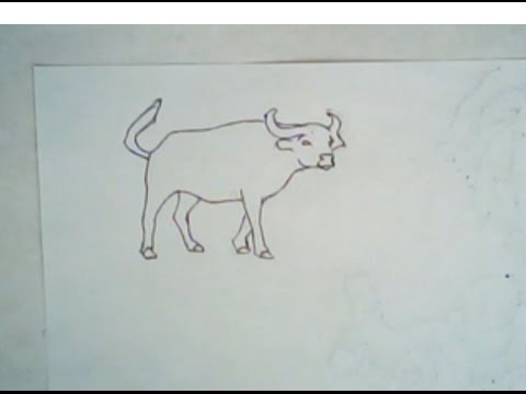 480x360 how to draw an african buffalo - Simple Buffalo Drawing
