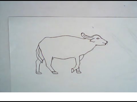 480x360 how to draw an asian water buffalo - Simple Buffalo Drawing