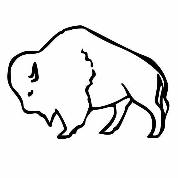 570x570 drawings buffalo tattoo, bison tattoo - Simple Buffalo Drawing