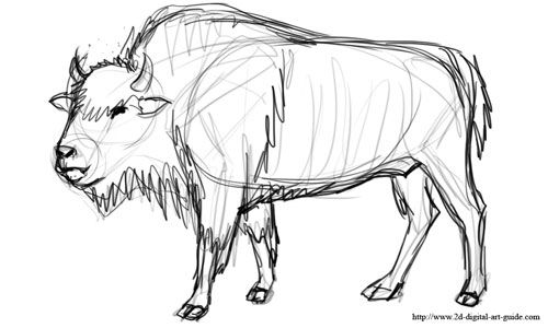 500x300 The Digital Art Sitemap Grade Art Projects - Simple Buffalo Drawing