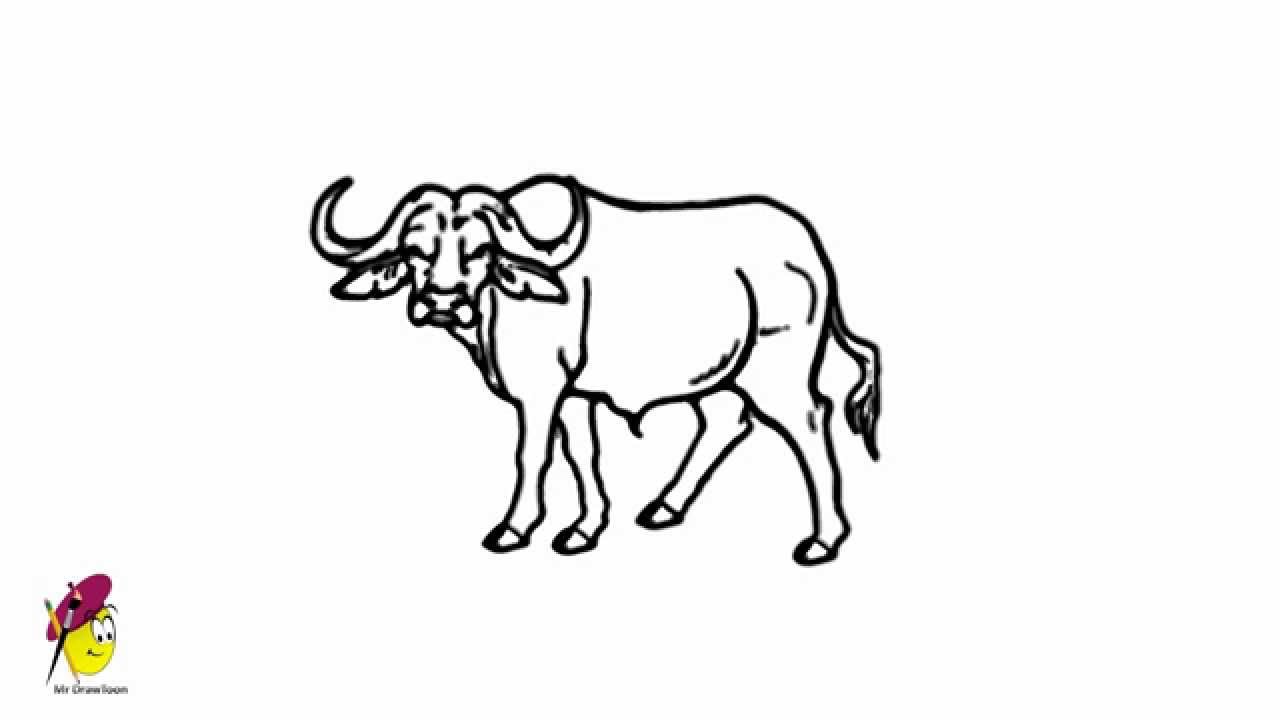 1280x720 buffalo - Simple Buffalo Drawing