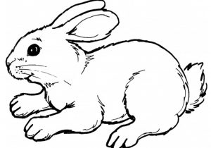 300x210 Rabbit Drawing Easy Easy Bunny Face Drawing At Getdrawings Free - Simple Bunny Face Drawing
