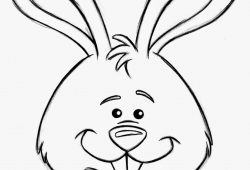 250x170 Bunny Face Drawing Easy - Simple Bunny Face Drawing
