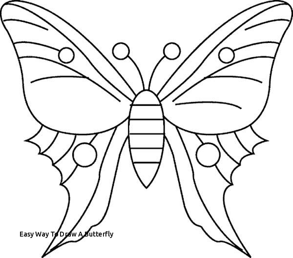 600x529 easy way to draw a butterfly collection of simple butterfly - Simple Butterfly Drawing