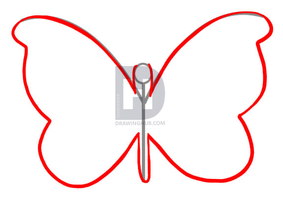 576x404 How To Draw A Simple Butterfly, Step - Simple Butterfly Drawing