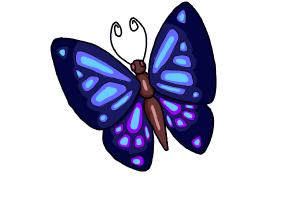 300x200 How To Draw A Simple Butterfly - Simple Butterfly Drawing