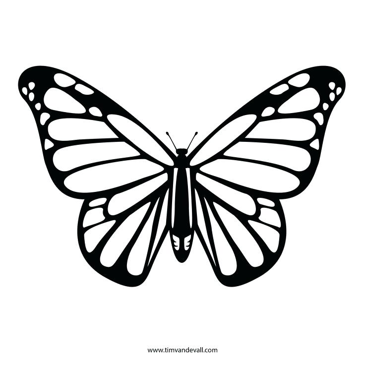 Simple Butterfly Drawing at PaintingValley.com | Explore collection of ...