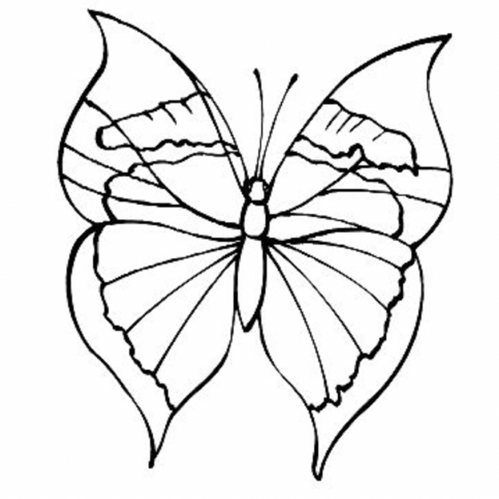 1024x1024 Simple Butterflies Drawings Easy To Draw Butterfly Drawing - Simple Butterfly Drawing