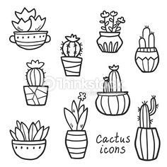 236x236 best cacti drawing ideas images in paintings, easy - Simple Cactus Drawing
