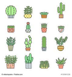 236x252 Image Result For Succulent Drawing Simple B U J O Cactus - Simple Cactus Drawing