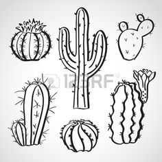 236x236 Line Drawing Of Cactus - Simple Cactus Drawing