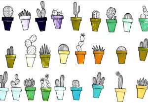 300x210 To Draw A Easy Kids And Color On Paper With Pencil - Simple Cactus Drawing