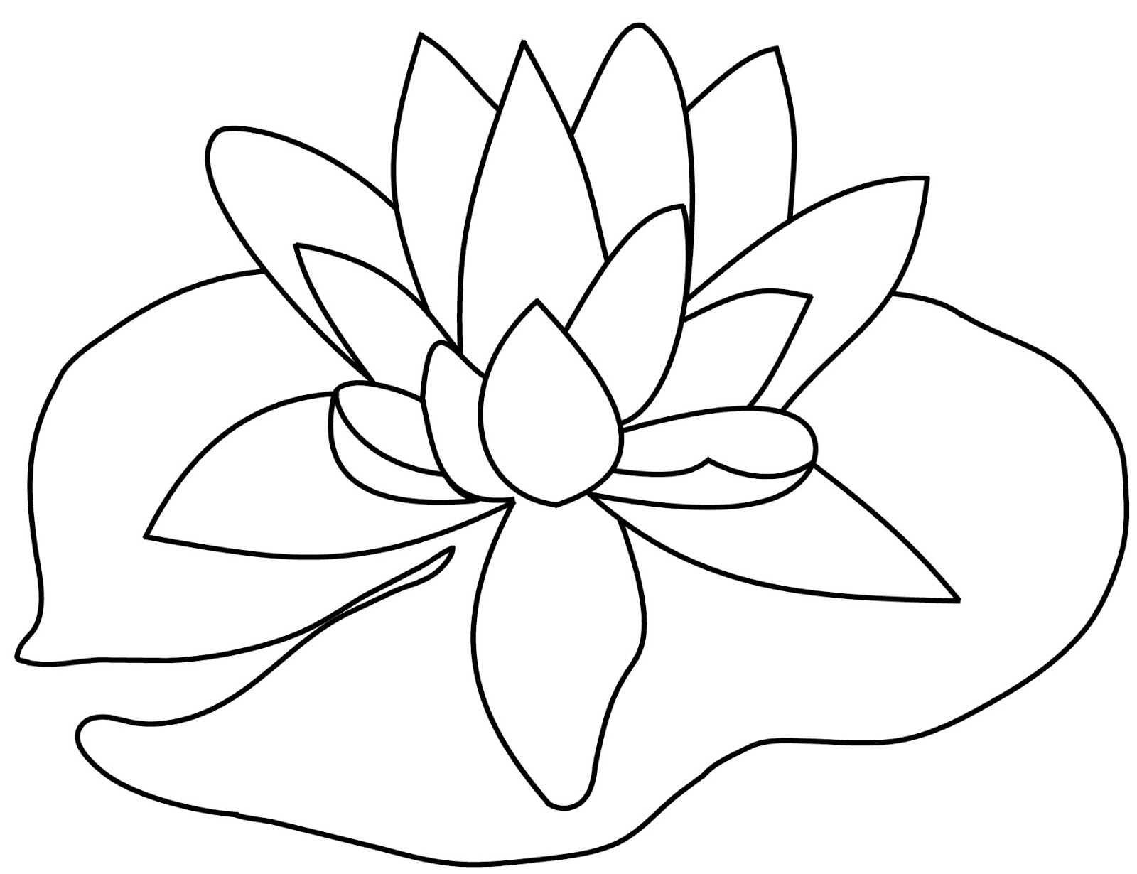 1600x1230 Lily Drawing Simple For Free Download - Simple Calla Lily Drawing