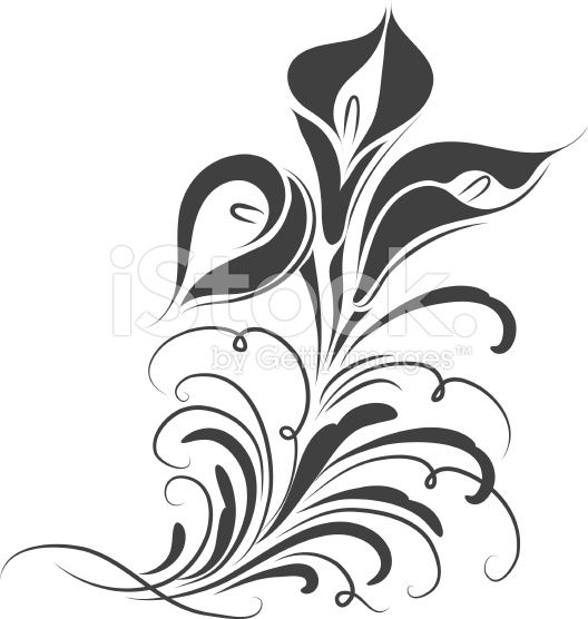 528x556 huge collection of 'calla lily drawing pattern' download more - Simple Calla Lily Drawing