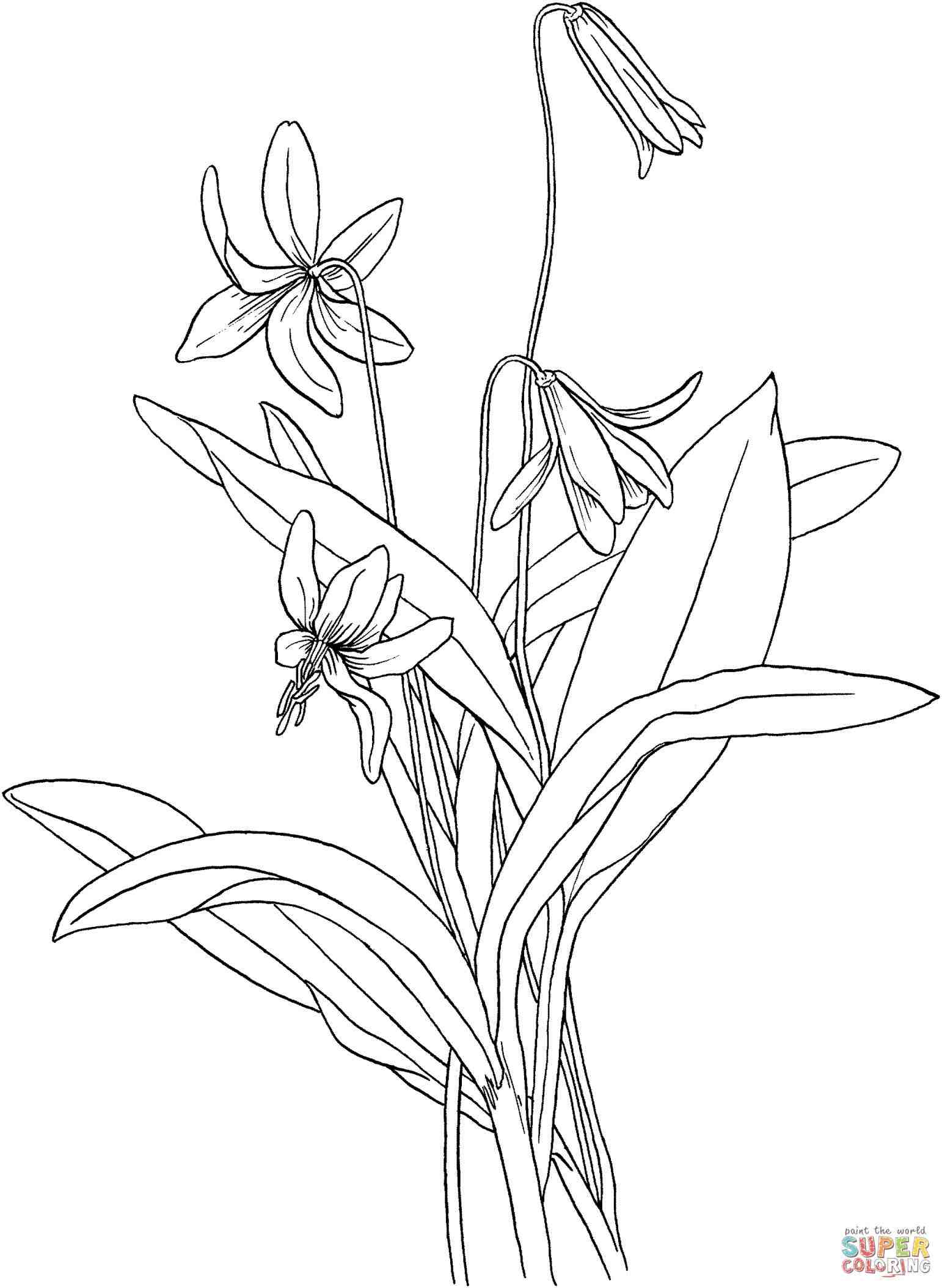1542x2108 for flower steps kidsuart depictucraft gallery simple calla lily - Simple Calla Lily Drawing