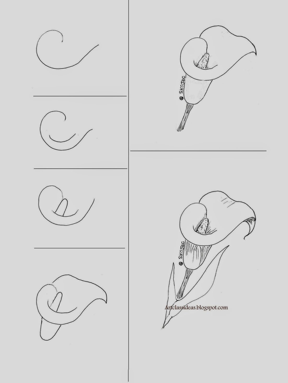 1202x1600 calla lily art class ideas art class ideas drawings, art - Simple Calla Lily Drawing