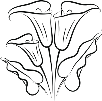355x350 calla lily tattoos - Simple Calla Lily Drawing