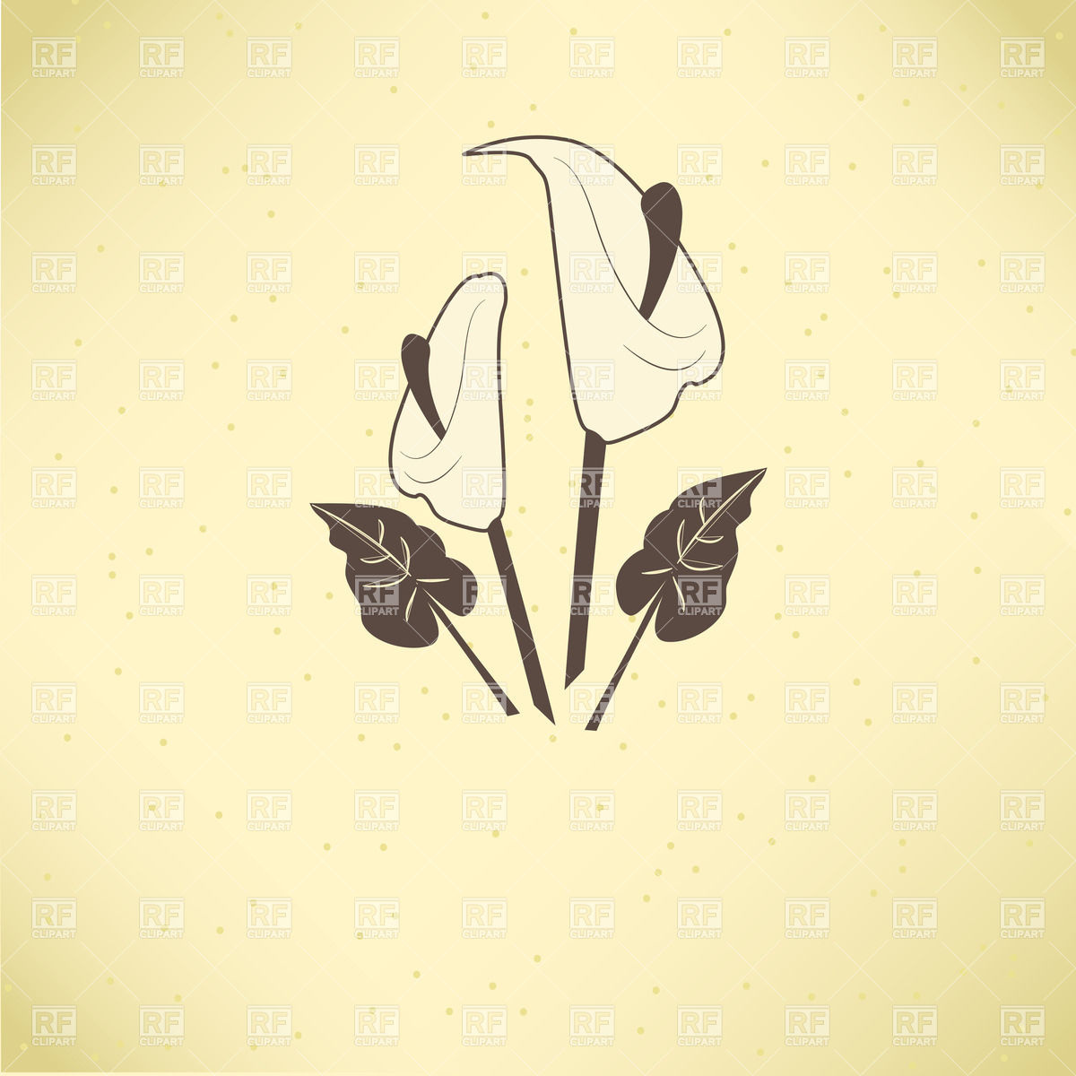 1200x1200 calla lilies simple drawing vector image of plants and animals - Simple Calla Lily Drawing