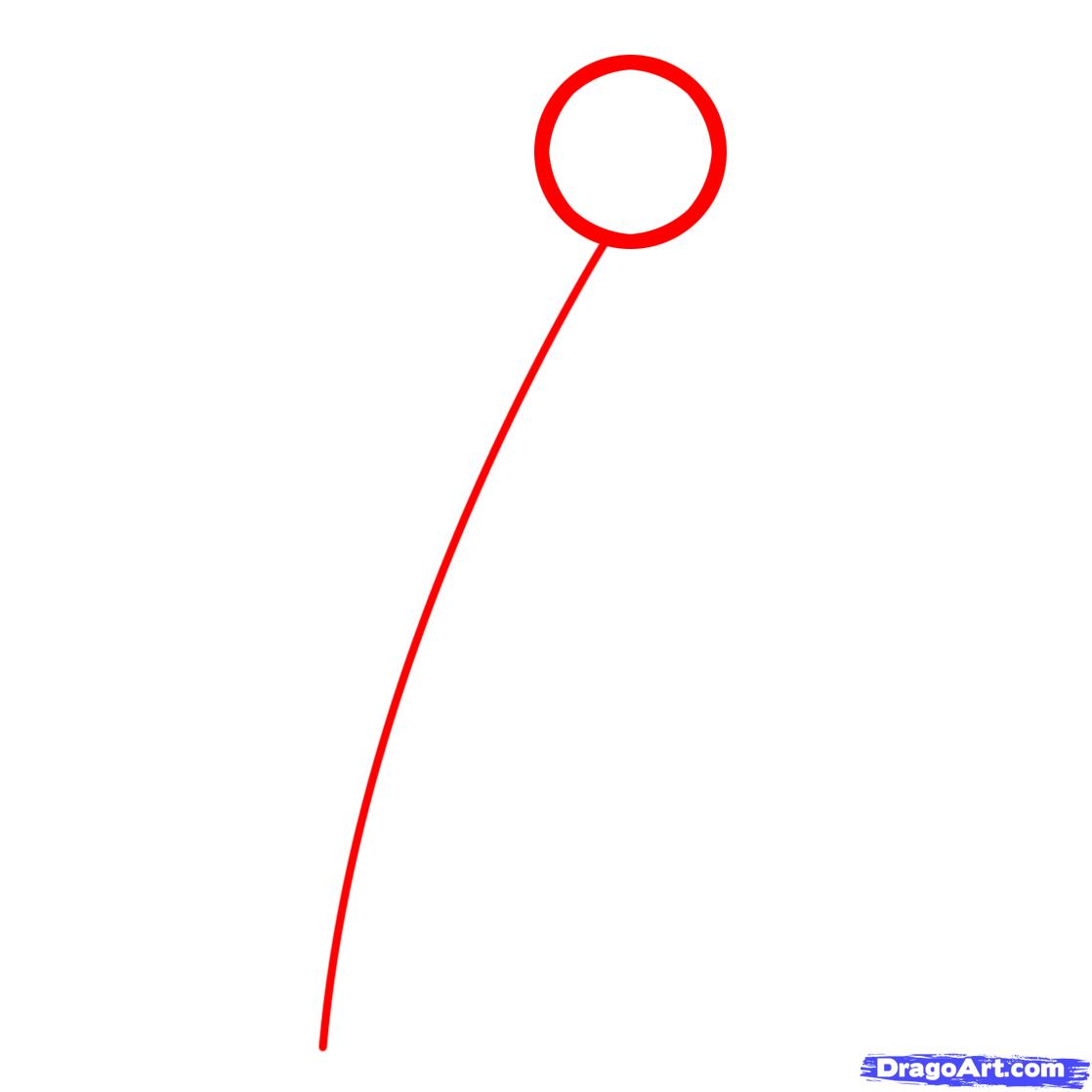 1118x1118 draw a calla lily, step - Simple Calla Lily Drawing