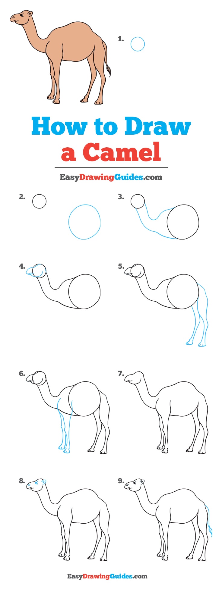 736x1955 how to draw a camel - Simple Camel Drawing