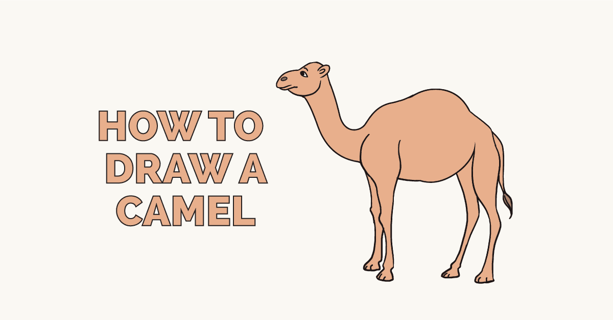 1200x628 how to draw a camel - Simple Camel Drawing
