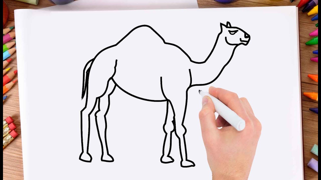1280x720 how to draw a camel step - Simple Camel Drawing