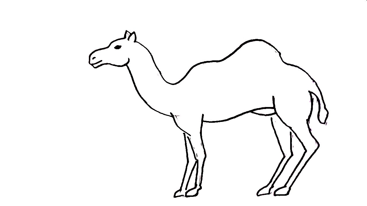 1280x720 how to draw a camel - Simple Camel Drawing