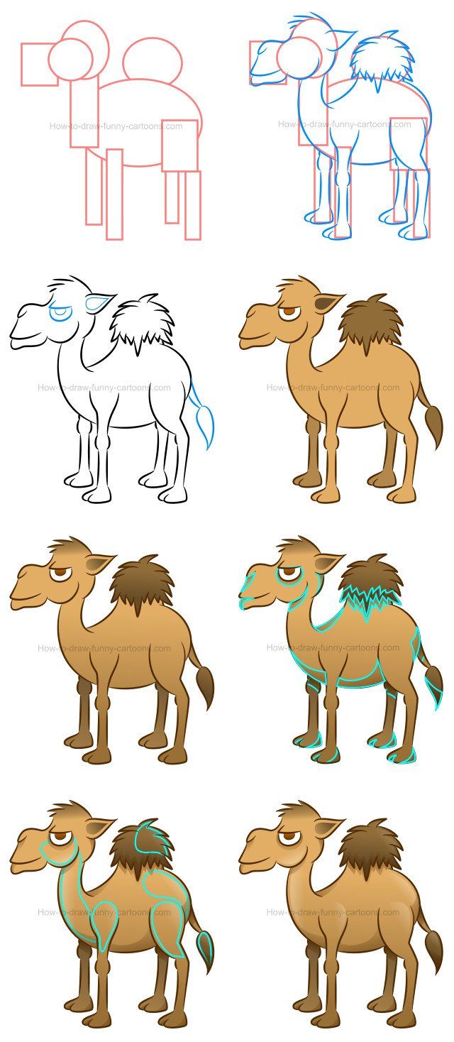 640x1468 how to draw a camel cartoon illustration - Simple Camel Drawing