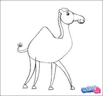 350x324 how to draw camel - Simple Camel Drawing