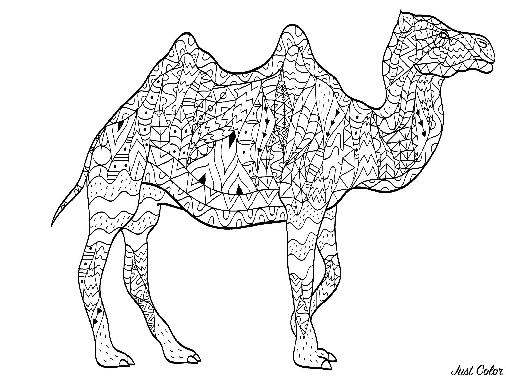 1024x768 simple camel drawing - Simple Camel Drawing