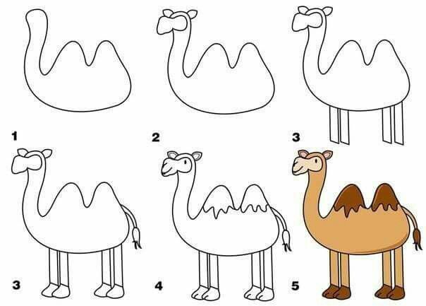 604x433 how to draw a camel illustrations illustrators drawings - Simple Camel Drawing