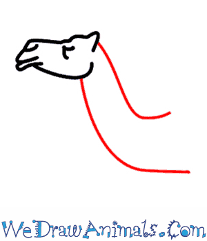 300x350 how to draw a camel - Simple Camel Drawing
