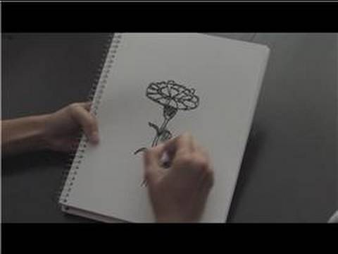 480x360 How To Draw How To Draw A Carnation - Simple Carnation Drawing