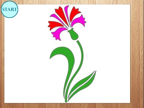 480x360 How To Draw Flowercarnation - Simple Carnation Drawing